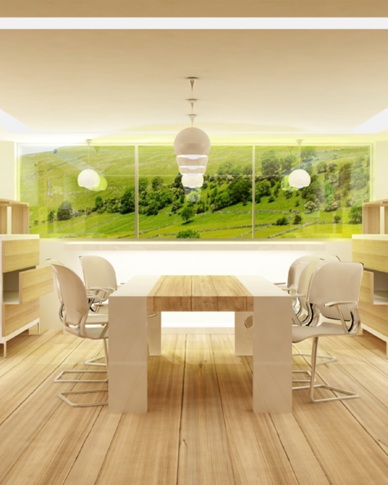 SHOWROOM1_sb